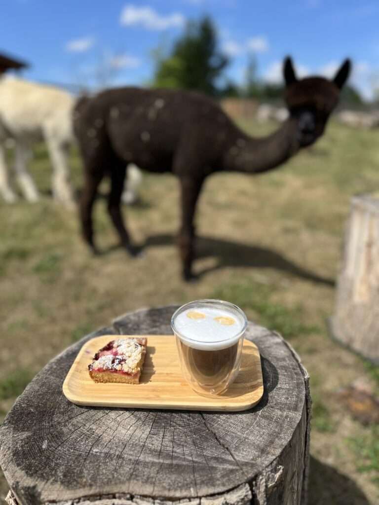 alpaky heřmanova huť